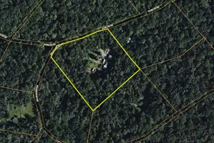 680 Sawlog Rd, Gore, VA 22637 - Photo 45