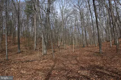 Trojan Lane, Winchester, VA 22603 - Photo 43