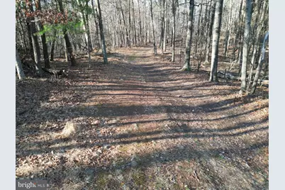 Trojan Lane, Winchester, VA 22603 - Photo 53