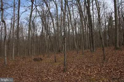 Trojan Lane, Winchester, VA 22603 - Photo 5