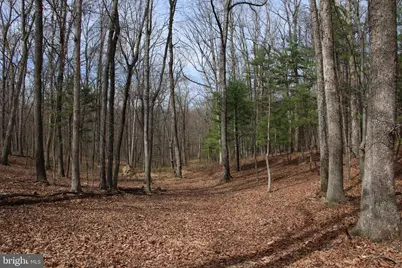Trojan Lane, Winchester, VA 22603 - Photo 9