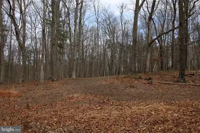 Trojan Lane, Winchester, VA 22603 - Photo 11