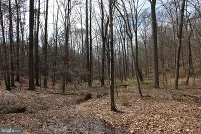 Trojan Lane, Winchester, VA 22603 - Photo 39