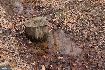 Trojan Lane, Winchester, VA 22603 - Photo 7