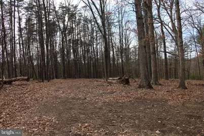 Trojan Lane, Winchester, VA 22603 - Photo 3