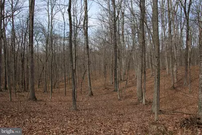 Trojan Lane, Winchester, VA 22603 - Photo 19