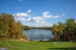 101 Trout Lily Dr, Lake Frederick, VA 22630 - Photo 67