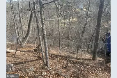 1231 Lakeview Drive, Cross Junction, VA 22625 - Photo 7