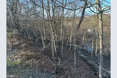 1231 Lakeview Drive, Cross Junction, VA 22625 - Photo 3