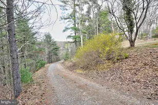 235 Peppermint Spring Ln, Winchester, VA 22603 - Photo 23