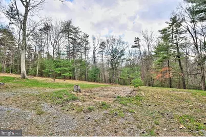 235 Peppermint Spring Lane, Winchester, VA 22603 - Photo 11