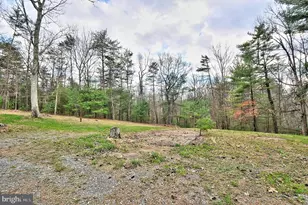 235 Peppermint Spring Ln, Winchester, VA 22603 - Photo 11