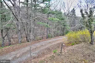 235 Peppermint Spring Ln, Winchester, VA 22603 - Photo 63