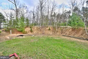 235 Peppermint Spring Ln, Winchester, VA 22603 - Photo 19