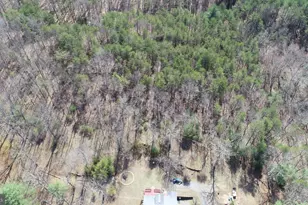 235 Peppermint Spring Ln, Winchester, VA 22603 - Photo 77