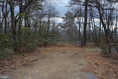 Rockwood Trail #49.61 ACRES, Winchester, VA 22602 - Photo 13