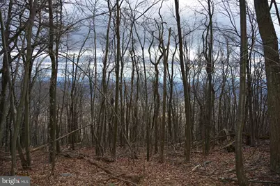 Rockwood Trail #49.61 ACRES, Winchester, VA 22602 - Photo 1