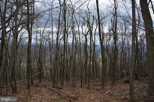 Rockwood Trail, Winchester, VA 22602 - Photo 1