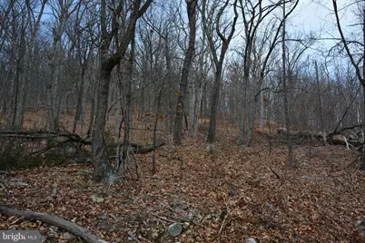 Rockwood Trail #49.61 ACRES, Winchester, VA 22602 - Photo 17