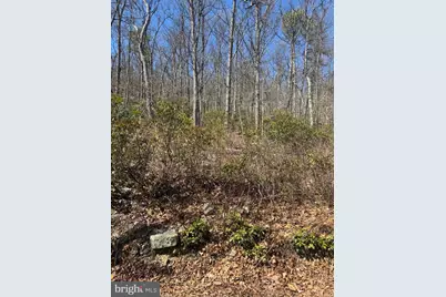 Fox Trail, Winchester, VA 22602 - Photo 1