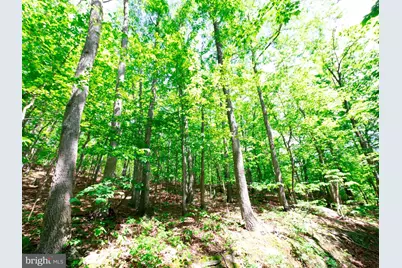 Lots 8 & 9 Elk Trail, Winchester, VA 22602 - Photo 3