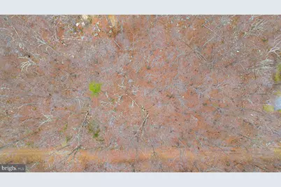 Lots 8 & 9 Elk Trail, Winchester, VA 22602 - Photo 9