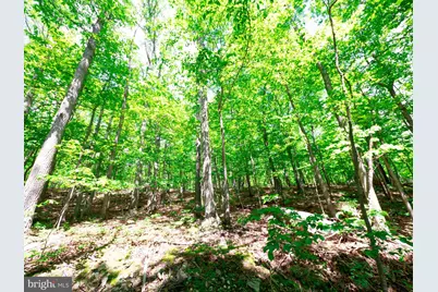 Lots 8 & 9 Elk Trail, Winchester, VA 22602 - Photo 1