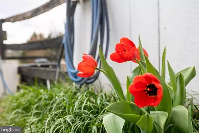 4494 Cedar Creek Grade, Winchester, VA 22602 - Photo 49