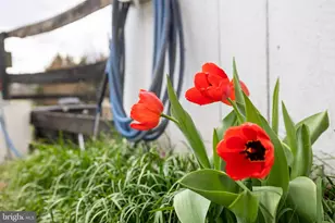 4494 Cedar Creek Grade, Winchester, VA 22602 - Photo 49