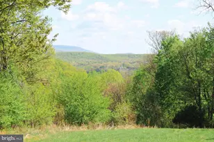 224 Oates Rd, Star Tannery, VA 22654 - Photo 3