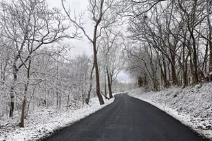 530 Laurel Grove Rd, Winchester, VA 22602 - Photo 109