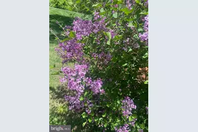 530 Laurel Grove Road, Winchester, VA 22602 - Photo 105