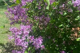 530 Laurel Grove Rd, Winchester, VA 22602 - Photo 105