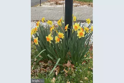 530 Laurel Grove Road, Winchester, VA 22602 - Photo 107