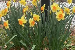 530 Laurel Grove Rd, Winchester, VA 22602 - Photo 107