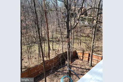 135 Hill Valley Drive, Winchester, VA 22602 - Photo 11