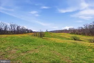 1112 Stony Hill Rd, Winchester, VA 22603 - Photo 17