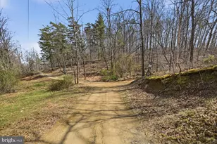 1112 Stony Hill Rd, Winchester, VA 22603 - Photo 43