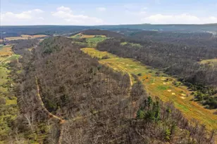 1112 Stony Hill Rd, Winchester, VA 22603 - Photo 61