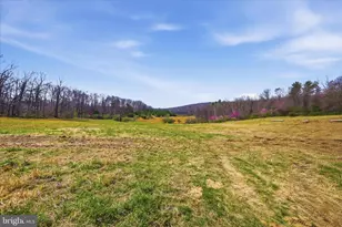 1112 Stony Hill Rd, Winchester, VA 22603 - Photo 47