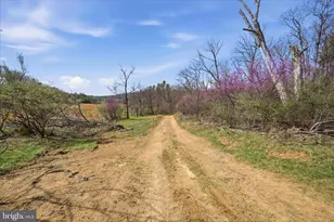 1112 Stony Hill Rd, Winchester, VA 22603 - Photo 13