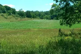 1112 Stony Hill Rd, Winchester, VA 22603 - Photo 31