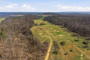 1112 Stony Hill Rd, Winchester, VA 22603 - Photo 25