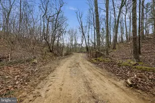 1112 Stony Hill Rd, Winchester, VA 22603 - Photo 3