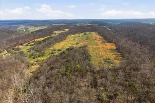 1112 Stony Hill Rd, Winchester, VA 22603 - Photo 29