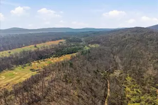 1112 Stony Hill Rd, Winchester, VA 22603 - Photo 27