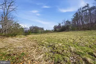 1112 Stony Hill Rd, Winchester, VA 22603 - Photo 41