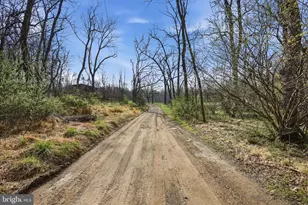 1112 Stony Hill Rd, Winchester, VA 22603 - Photo 37