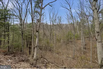 Lot 3 Arapaho Lane, Stephens City, VA 22655 - Photo 3