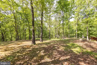 430 Babbs Mountain Road, Winchester, VA 22603 - Photo 3